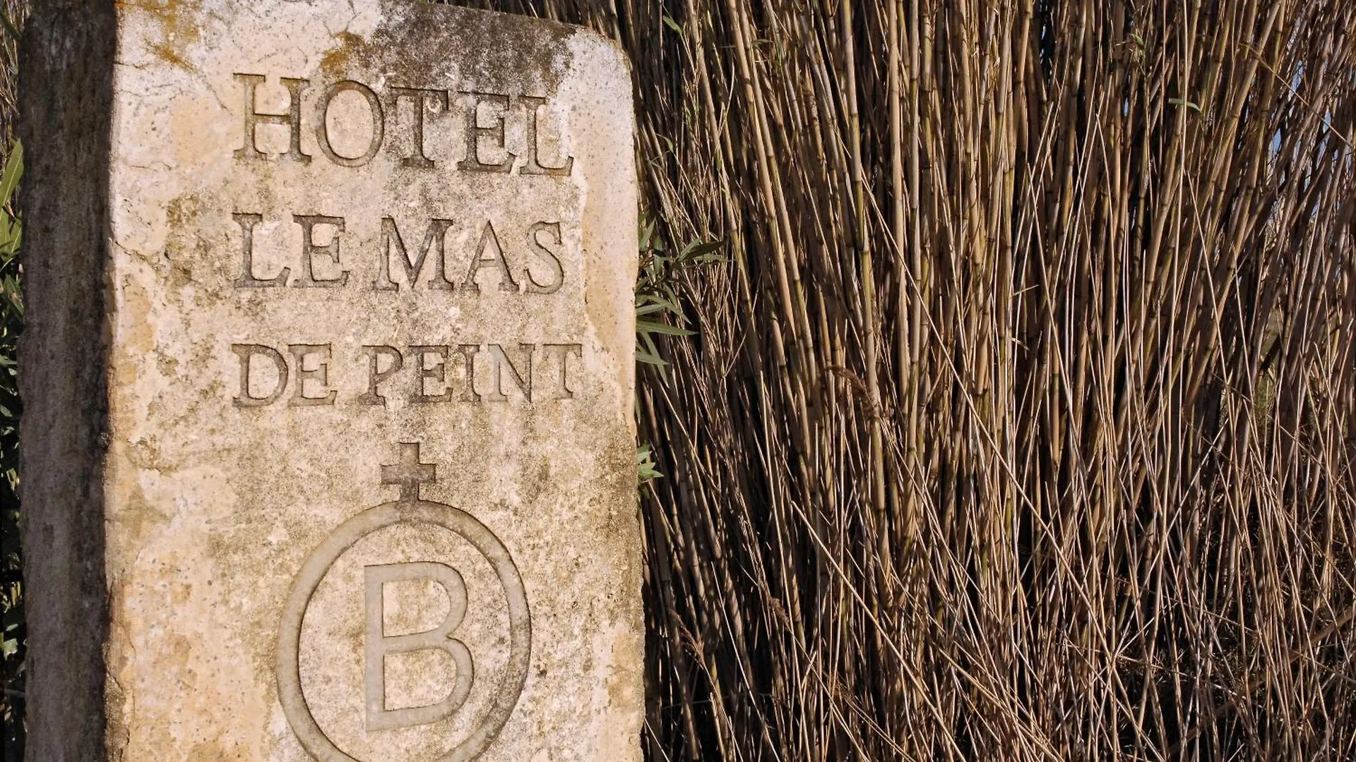Le Mas De Peint - Hotel Et Restaurant Arles