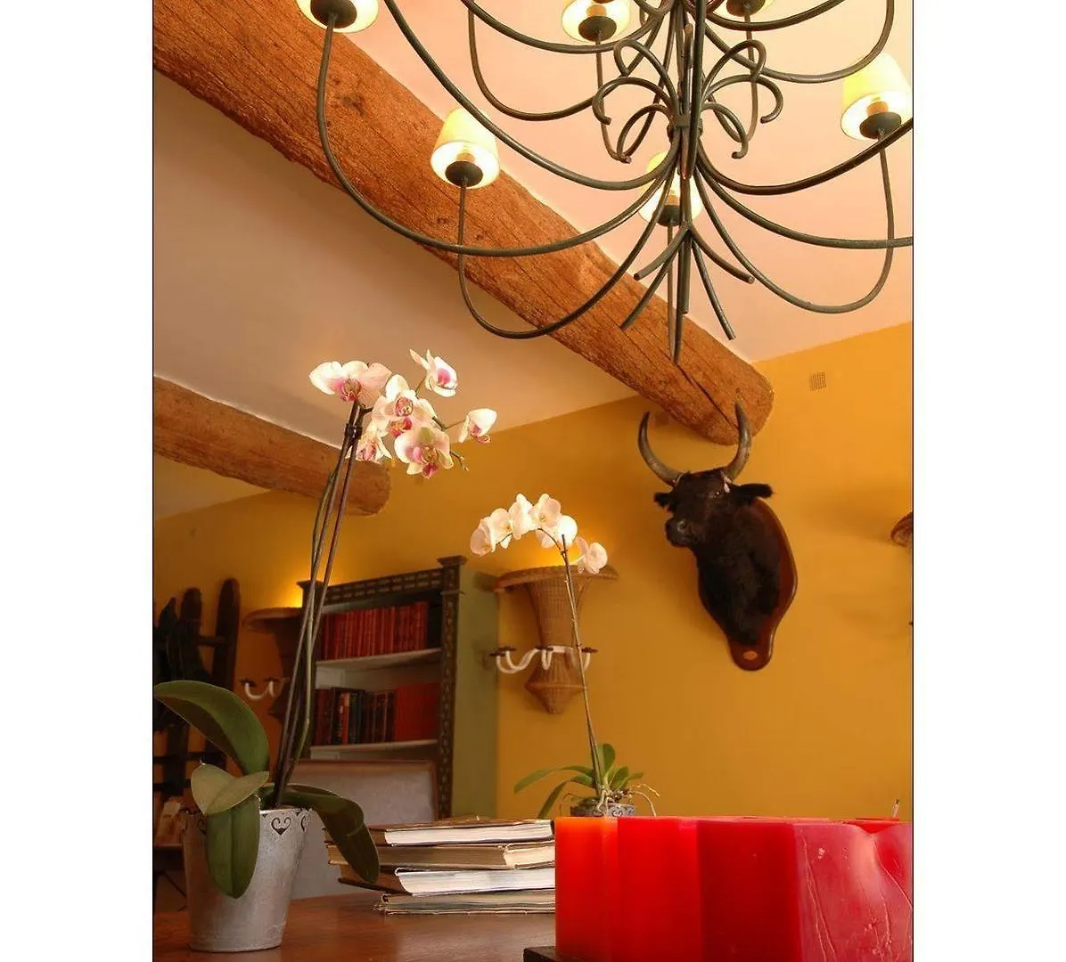 Le Mas De Peint - Hotel Et Restaurant Arles